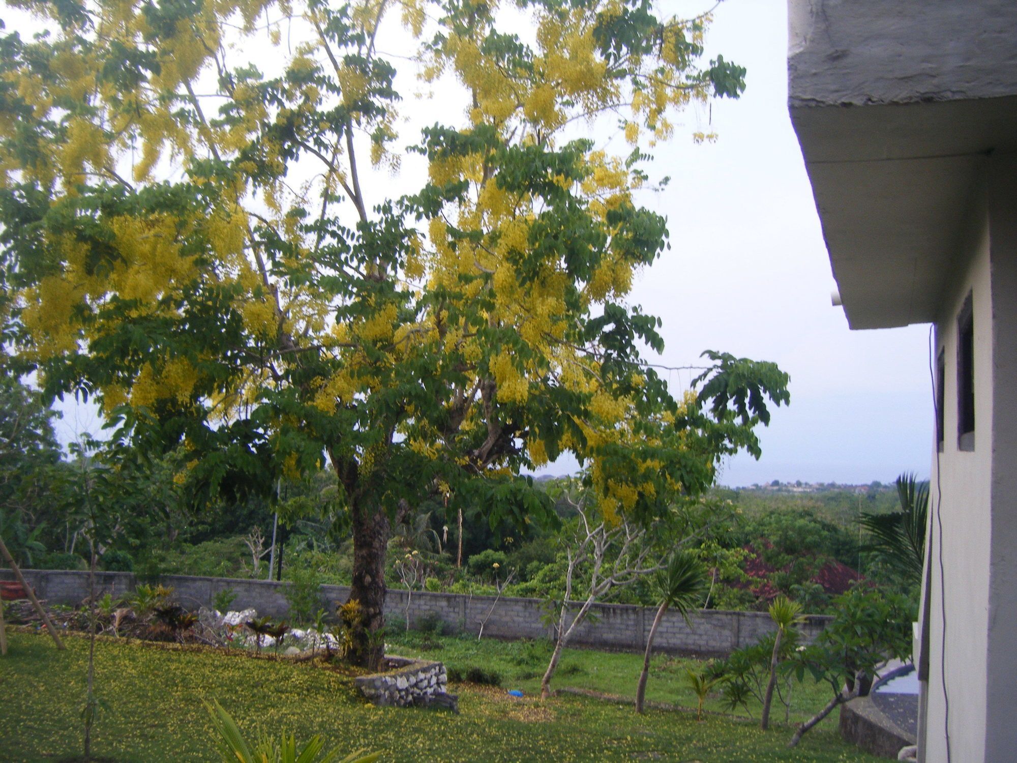 3D Homestay Pecatu  Exterior photo