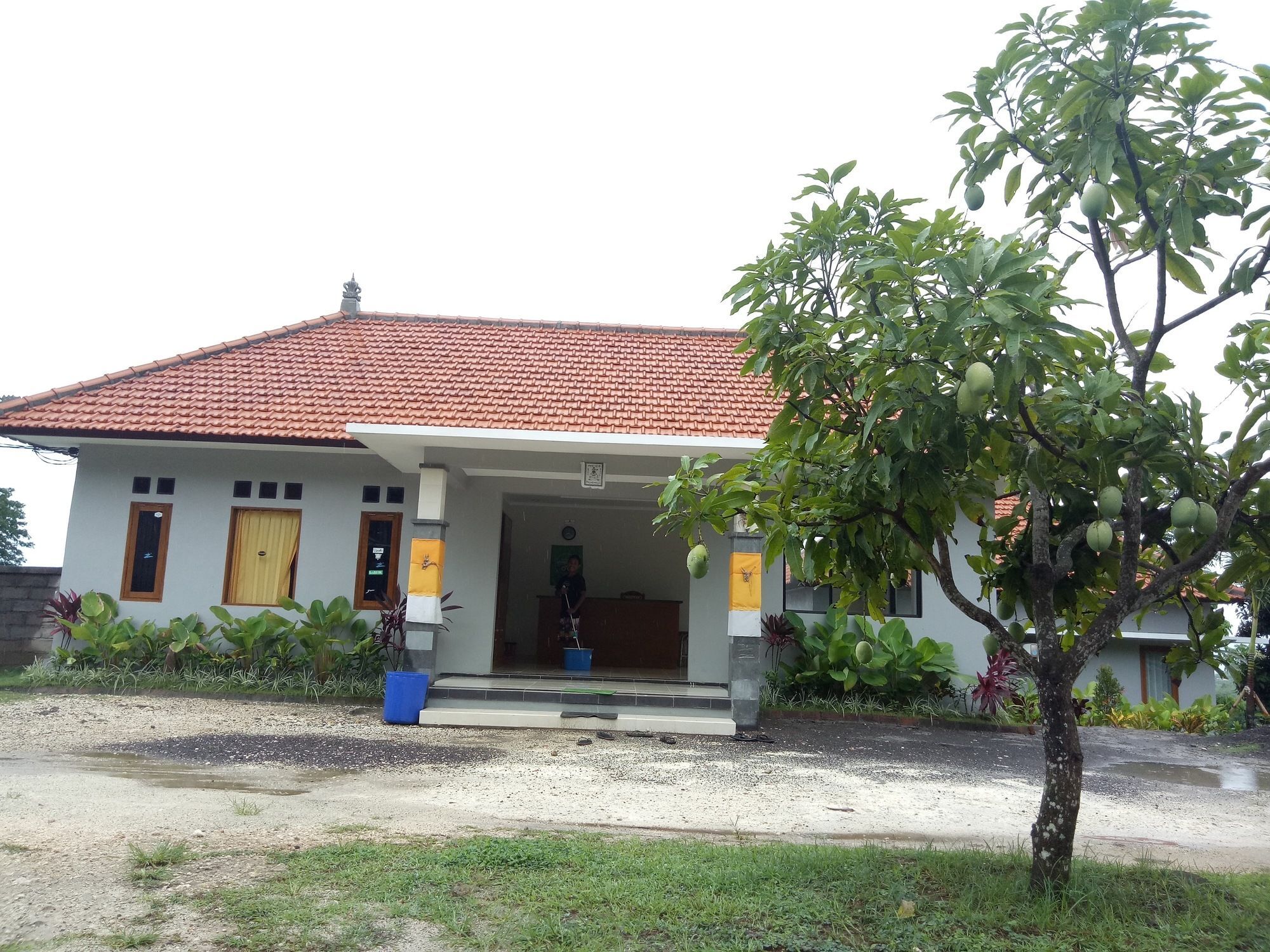 3D Homestay Pecatu  Exterior photo